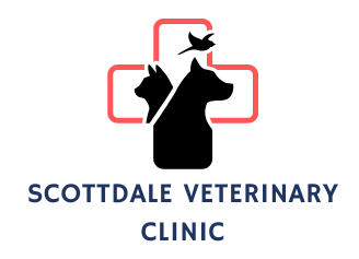 Scottdale Veterinary Clinic